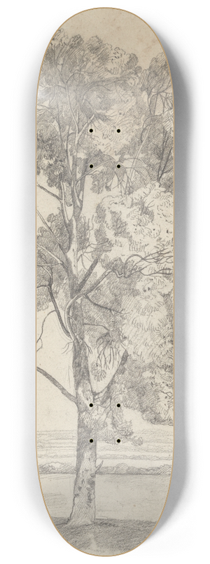 John Sell Cotman - Study of a tree 8.25 inch art skate deck