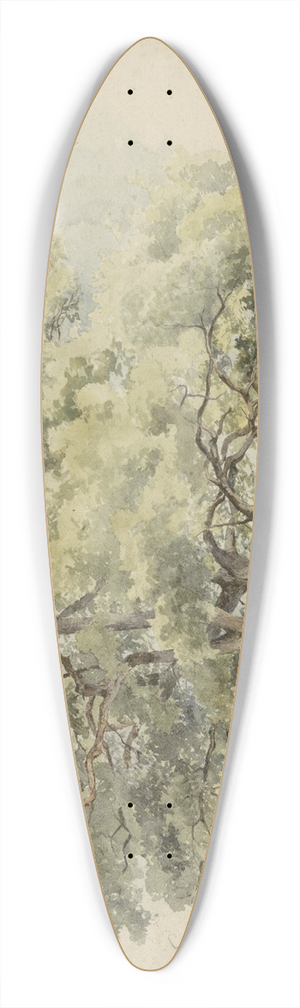 George Andries Roth - Boomstudie 39.3 inch art pintail longboard deck