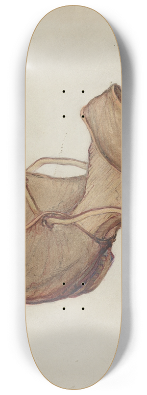 American 20th Century - Shoe 8.25 inch art skate deck