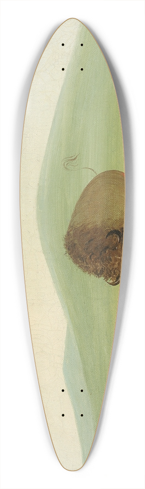 George Catlin - Wounded Buffalo Bull Surrounded by White Wolves 39.3 inch art pintail longboard deck