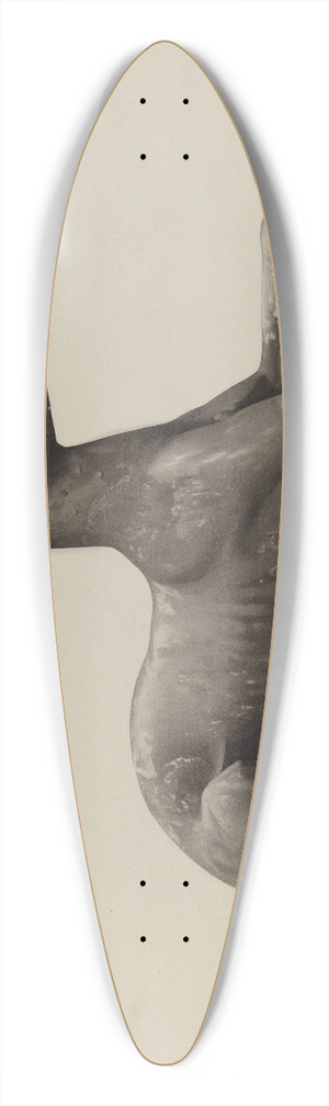 George Constantine - Garden Ornament (Greyhound) 39.3 inch art pintail longboard deck