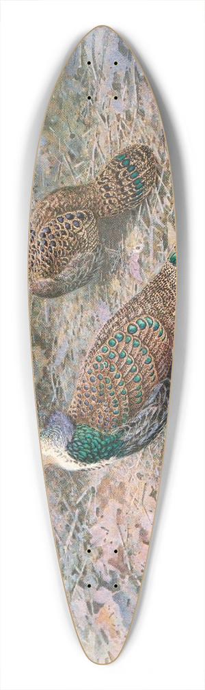 George Edward Lodge - Bornean Peacock Pheasant 39.3 inch art pintail longboard deck