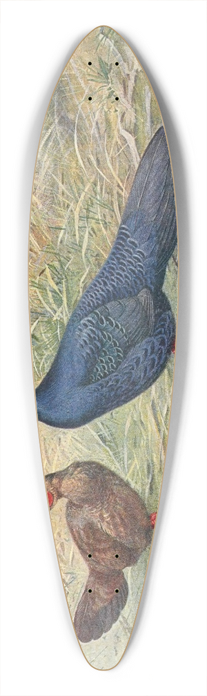 George Edward Lodge - Edwards Kaleege 39.3 inch art pintail longboard deck
