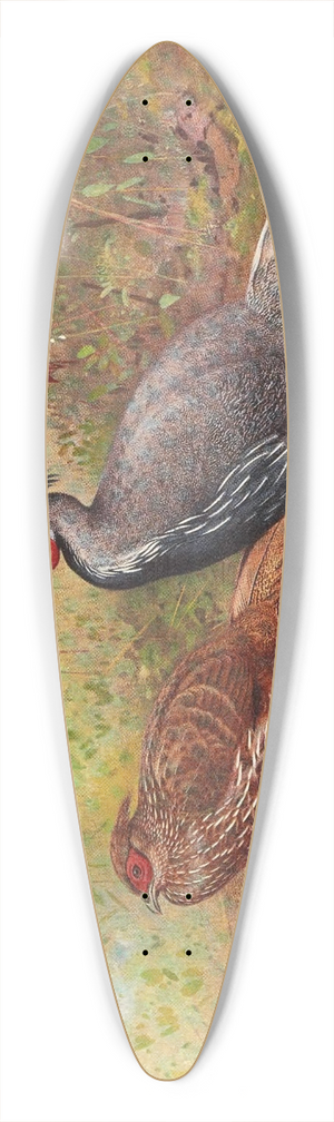George Edward Lodge - Lineated Kaleege 39.3 inch art pintail longboard deck