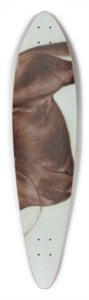 George Paice - Pretty Polly 39.3 inch art pintail longboard deck