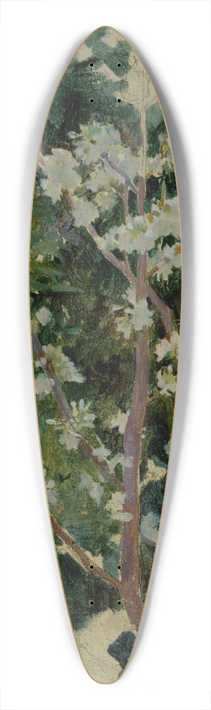 George Randolph Barse - Capri 39.3 inch art pintail longboard deck