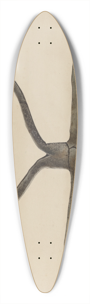 George Roehl - Chopper 39.3 inch art pintail longboard deck