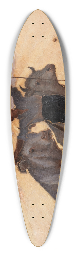 Georges Bertrand - Hymne de la Terre au Soleil 39.3 inch art pintail longboard deck