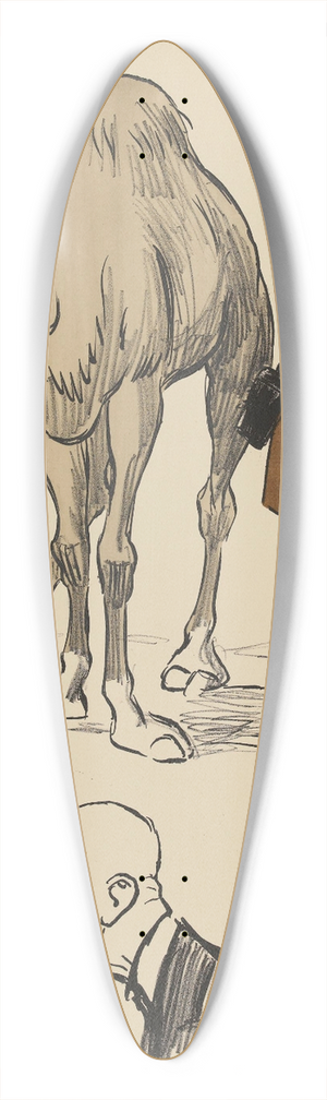 Georges Goursat (Sem) - Quel chameau ce Sem 39.3 inch art pintail longboard deck