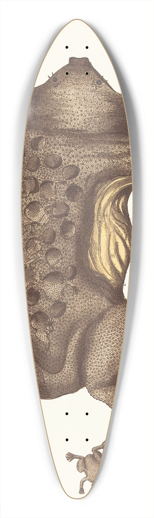 George Shaw - TOAD of SURINAM 39.3 inch art pintail longboard deck