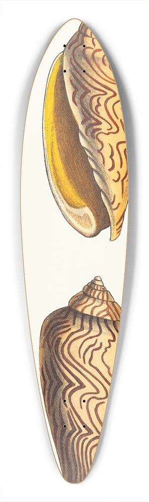 George Shaw - Undulated Volute 39.3 inch art pintail longboard deck