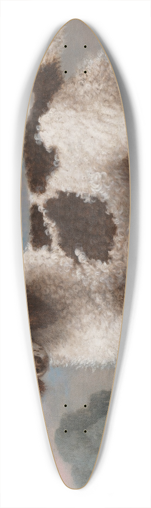 George Stubbs - Brown and White Norfolk or Water Spaniel 39.3 inch art pintail longboard deck