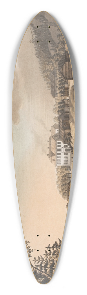 Georg Haas - Seconde vue de Stubbe-Lian 39.3 inch art pintail longboard deck