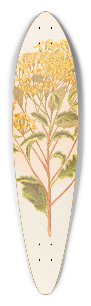 Georgina Burne Hetley - Senecio Perdicioides 39.3 inch art pintail longboard deck