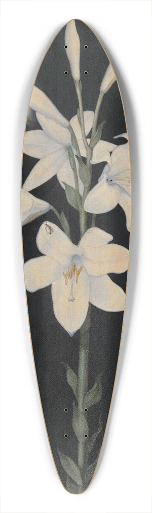 Georg Philipp Schmitt - Lilienstengel auf schwarzem Grund 39.3 inch art pintail longboard deck