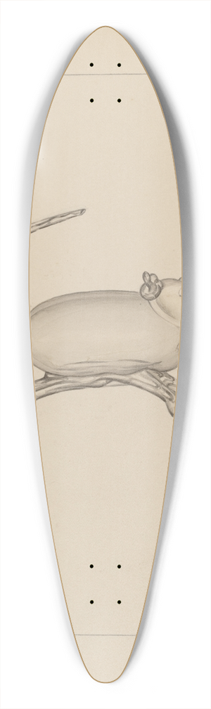 Giacinto Capelli - Mouse 39.3 inch art pintail longboard deck