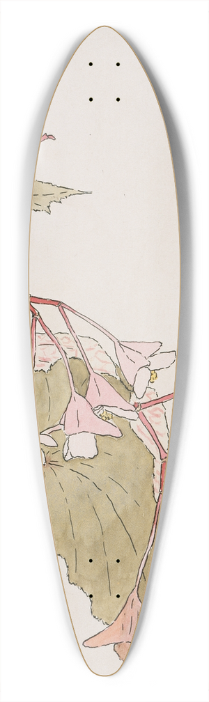Hannah Borger Overbeck - Beef Begonia 39.3 inch art pintail longboard deck