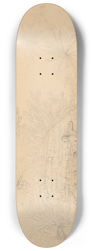 John Webber - A View in Annamooka 8.25 inch art skate deck John Webber - A View in Annamooka 8.25 inch art skate deck