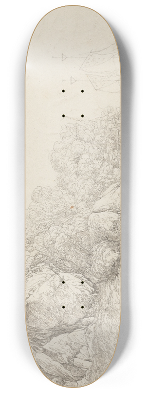 John Webber - View in Macao 8.25 inch art skate deck