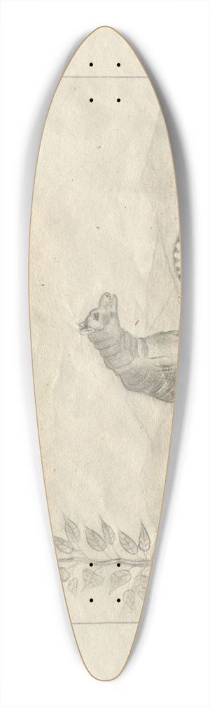 Hans Thoma - Sketchbook 39.3 inch art pintail longboard deck
