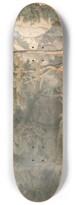John White Abbott - Canonteign, Devon 8.25 inch art skate deck