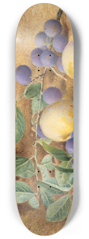 John William Hill - Plums 8.25 inch art skate deck
