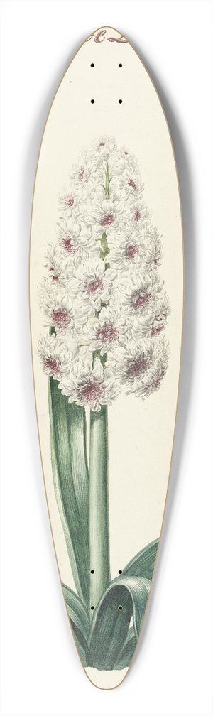 Hendrik Budde - Witte hyacint 39.3 inch art pintail longboard deck