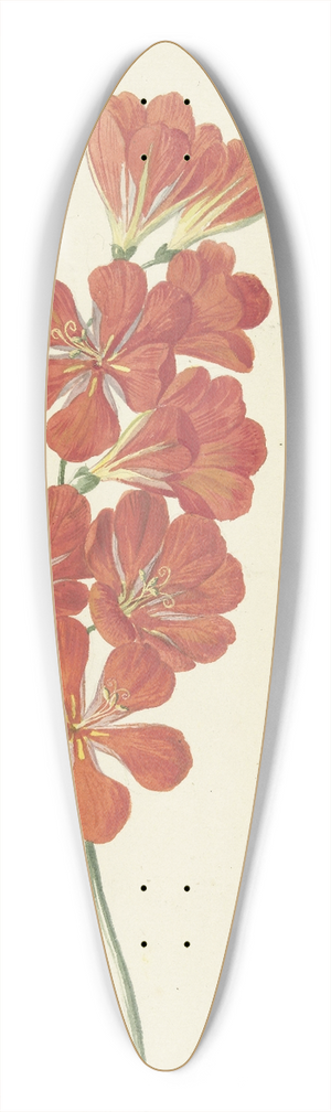 Hendrik Schwegman - Tritonia Crocata 39.3 inch art pintail longboard deck
