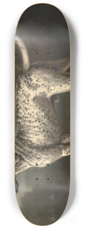 John Wootton - A Grey Spotted Hound 8.25 inch art skate deck