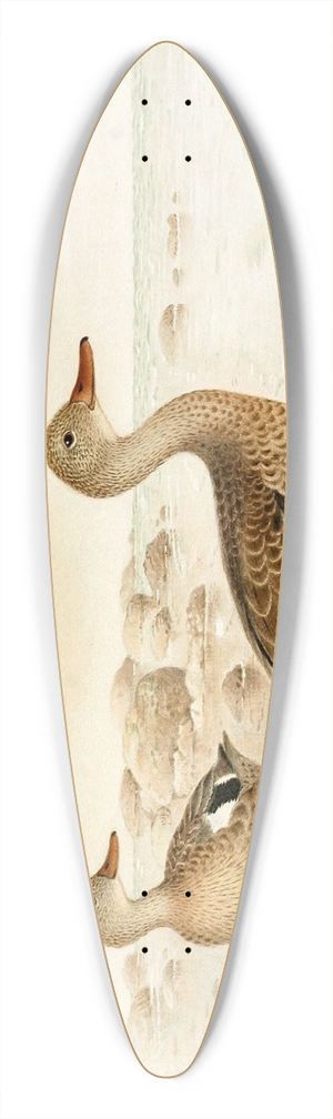 Henrik Gronvold - Madagascan Teal 39.3 inch art pintail longboard deck