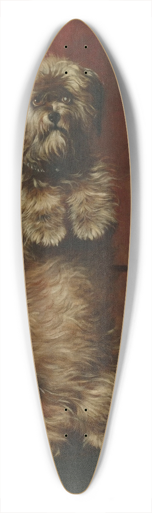 Henry Barraud - Sit Up Sir; Ginger 39.3 inch art pintail longboard deck