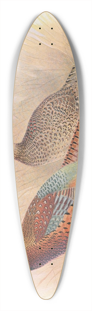 Henry Jones - Strauchs Pheasant 39.3 inch art pintail longboard deck