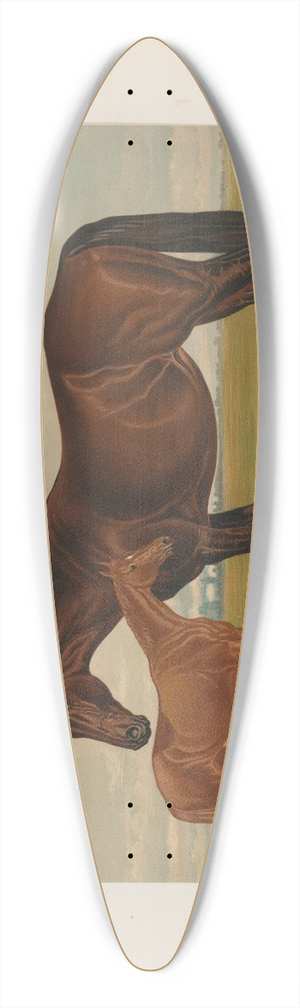 Henry Stull - Nevada 39.3 inch art pintail longboard deck