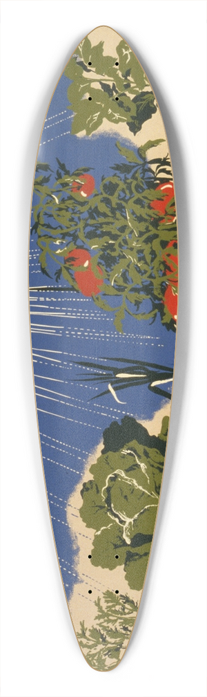 Herbert Bayer - Grow it yourself Plan a farm garden now. 39.3 inch art pintail longboard deck