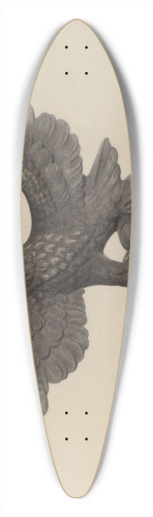 Herman Bader - Eagle 39.3 inch art pintail longboard deck