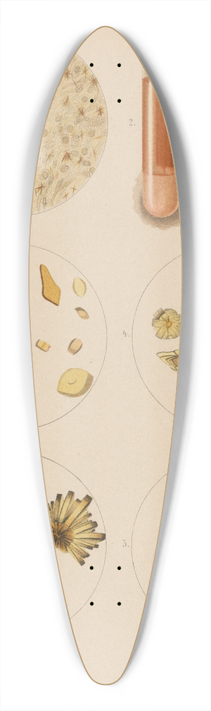 Hermann Rieder - Uric Acid Crystals 39.3 inch art pintail longboard deck