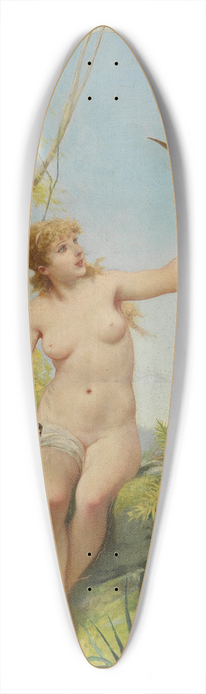 Hermann Schneider - Anmut 39.3 inch art pintail longboard deck