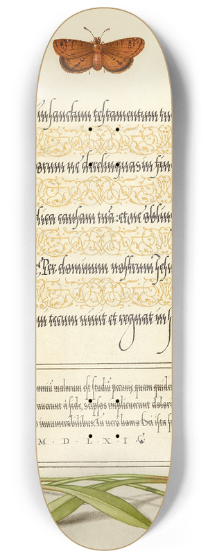 Joris Hoefnagel - Butterflies, Moth, Spider, and English Daisies 8.25 inch art skate deck