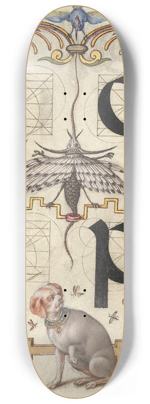 Joris Hoefnagel - Guide for Constructing the Letters o and p 8.25 inch art skate deck