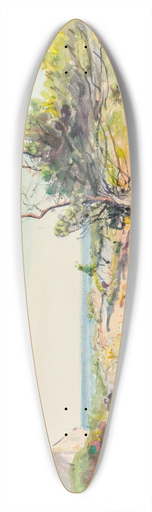 Howard Russell Butler - Untitled II 39.3 inch art pintail longboard deck