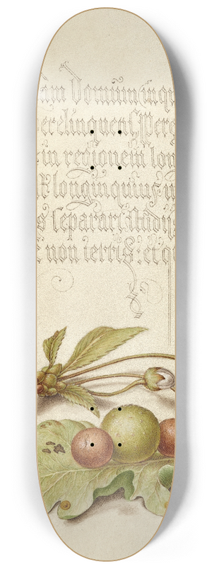Joris Hoefnagel - Spider, Sweet Cherry Flower, and English Oak Leaf with Galls 8.25 inch art skate deck