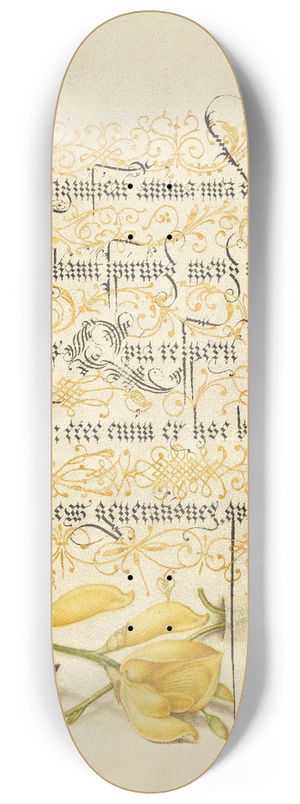 Joris Hoefnagel - Sweet Violet and Spanish Broom 8.25 inch art skate deck