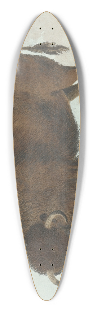 Isaac van Haastert - Bison 39.3 inch art pintail longboard deck