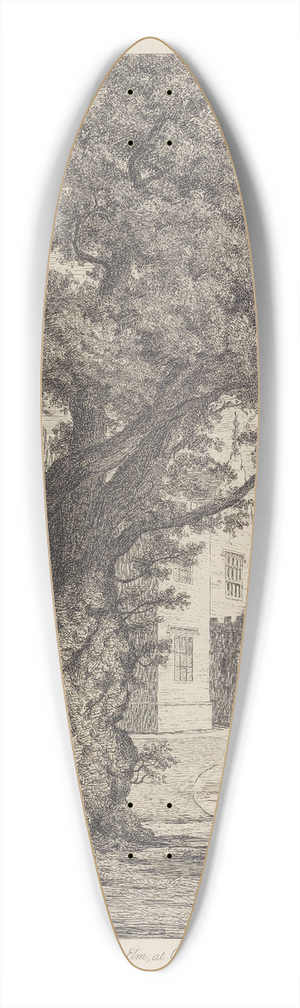 Jacob George Strutt - Elm at Checquers 39.3 inch art pintail longboard deck