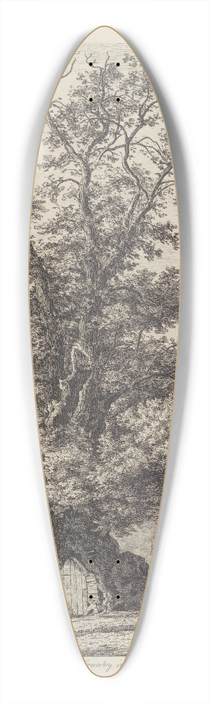 Jacob George Strutt - The Crawley Elm 39.3 inch art pintail longboard deck