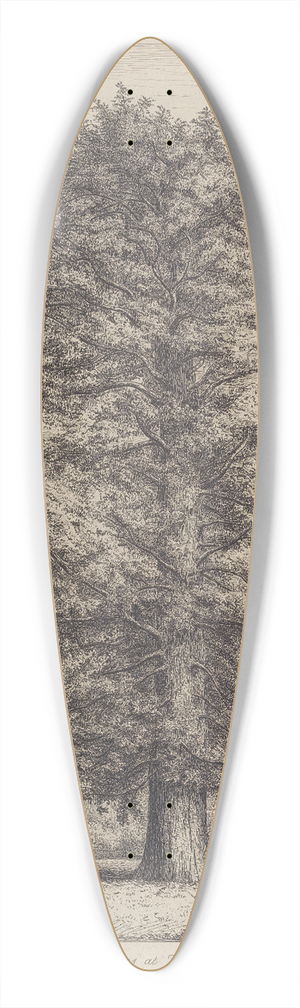 Jacob George Strutt - The Larches at Dunkeld 39.3 inch art pintail longboard deck