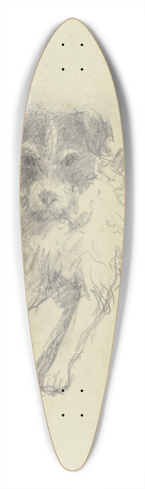 Jacob Happ - Lying terrier 39.3 inch art pintail longboard deck