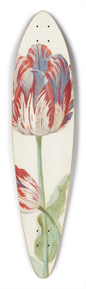 Jacob Marrel - Two Red And White Tulips 39.3 inch art pintail longboard deck