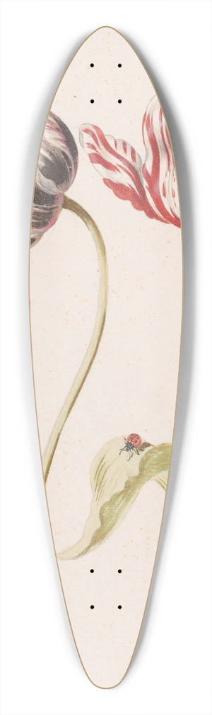 Jacob Marrel - Two Tulips with Insects 39.3 inch art pintail longboard deck