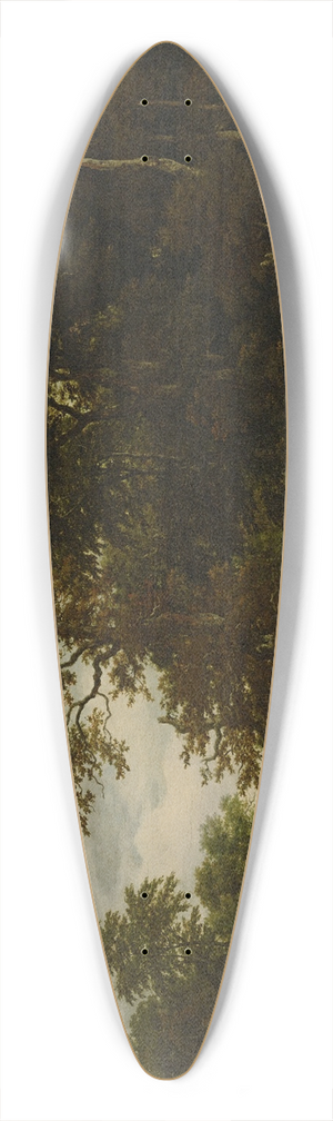 Jacob van Ruisdael - The Great Forest 39.3 inch art pintail longboard deck